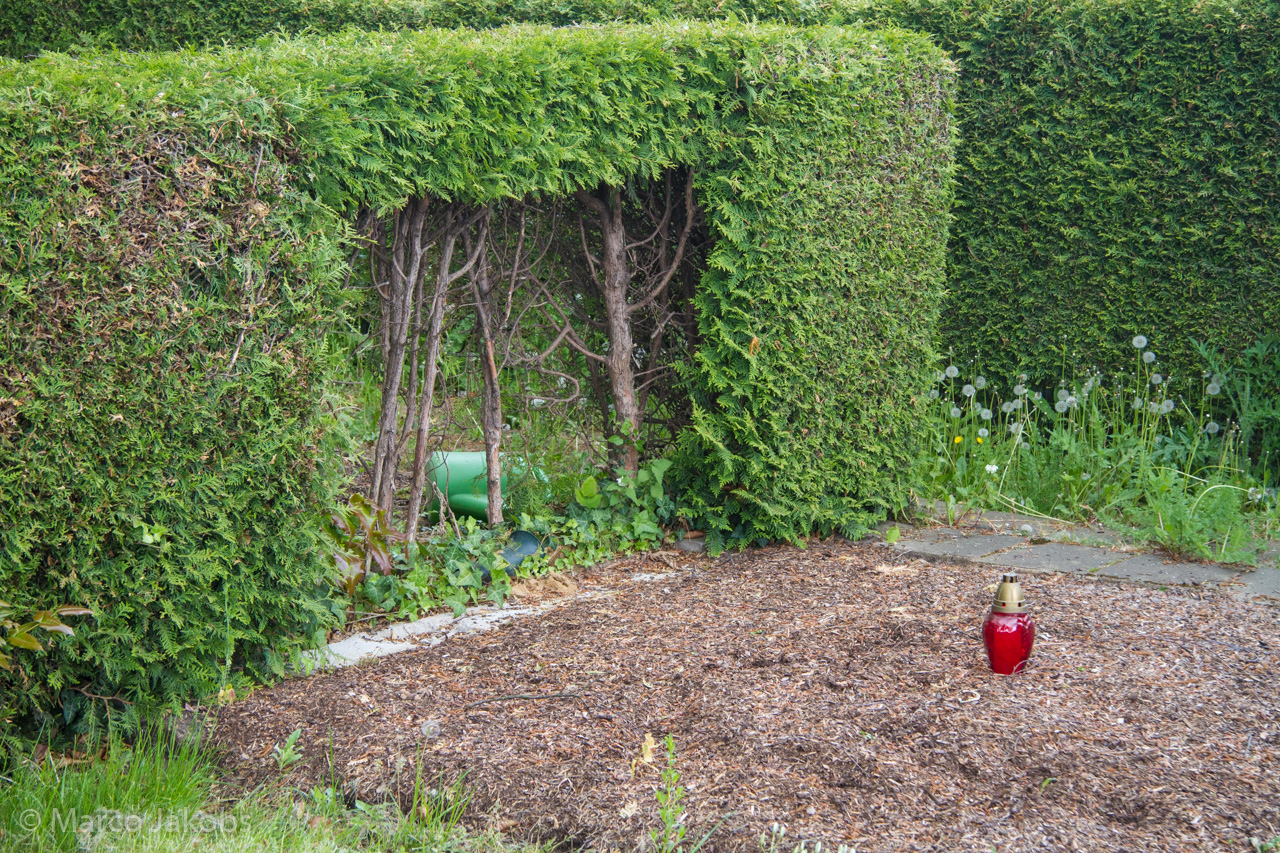 20160516110058 MJ  4658