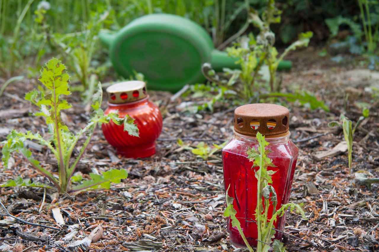 20160516110131 MJ  4660