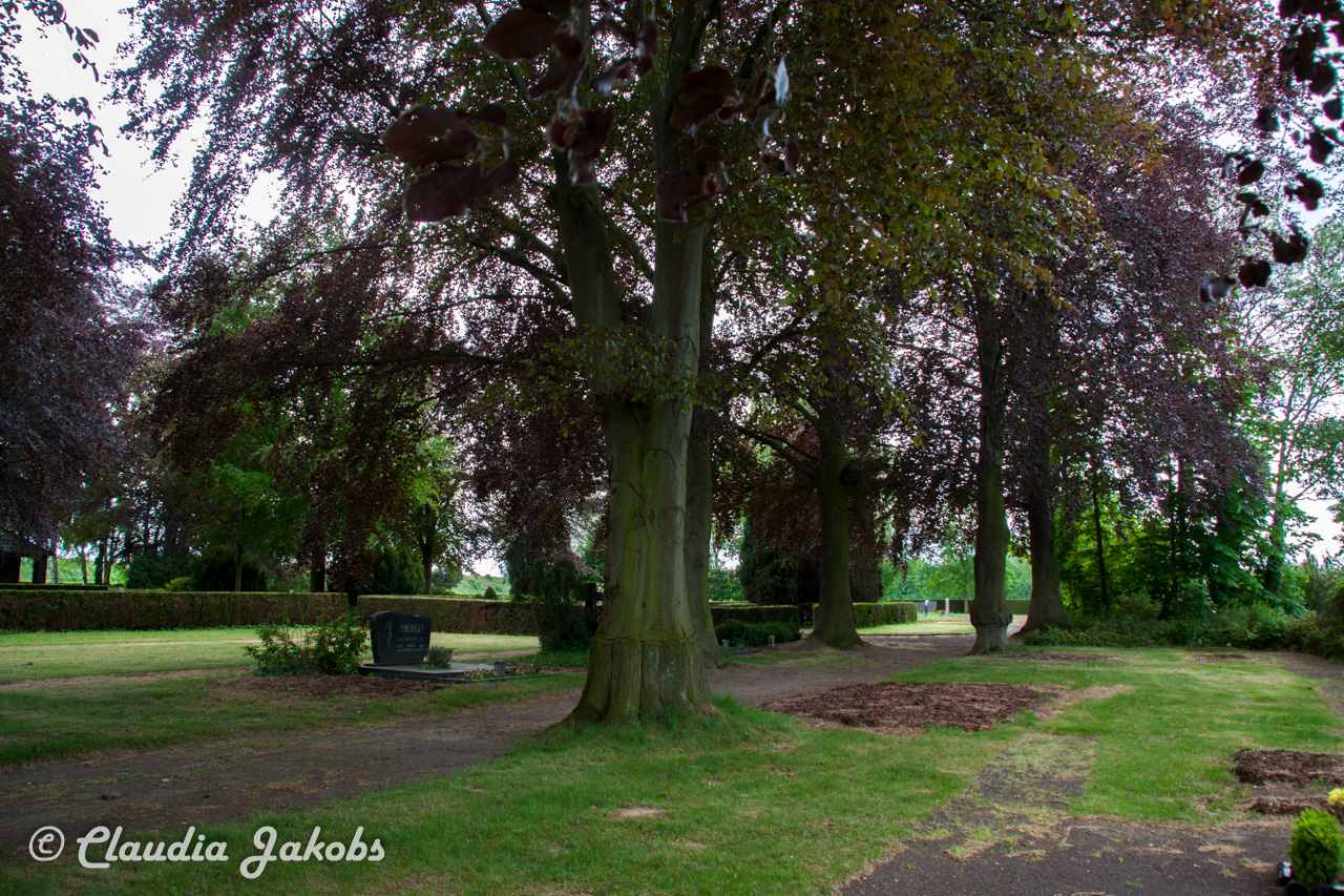 20160516110459 IMG 0812