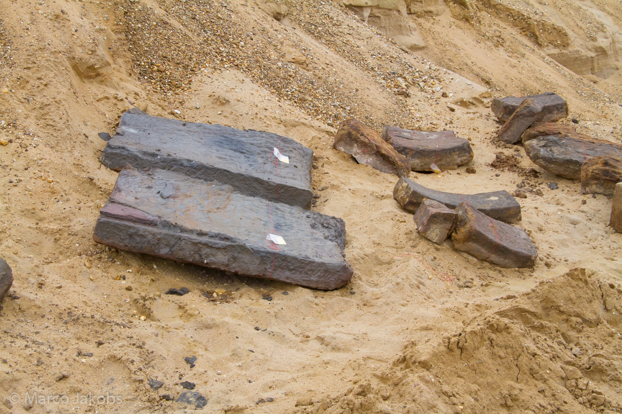 20200708171325 MJ  8212