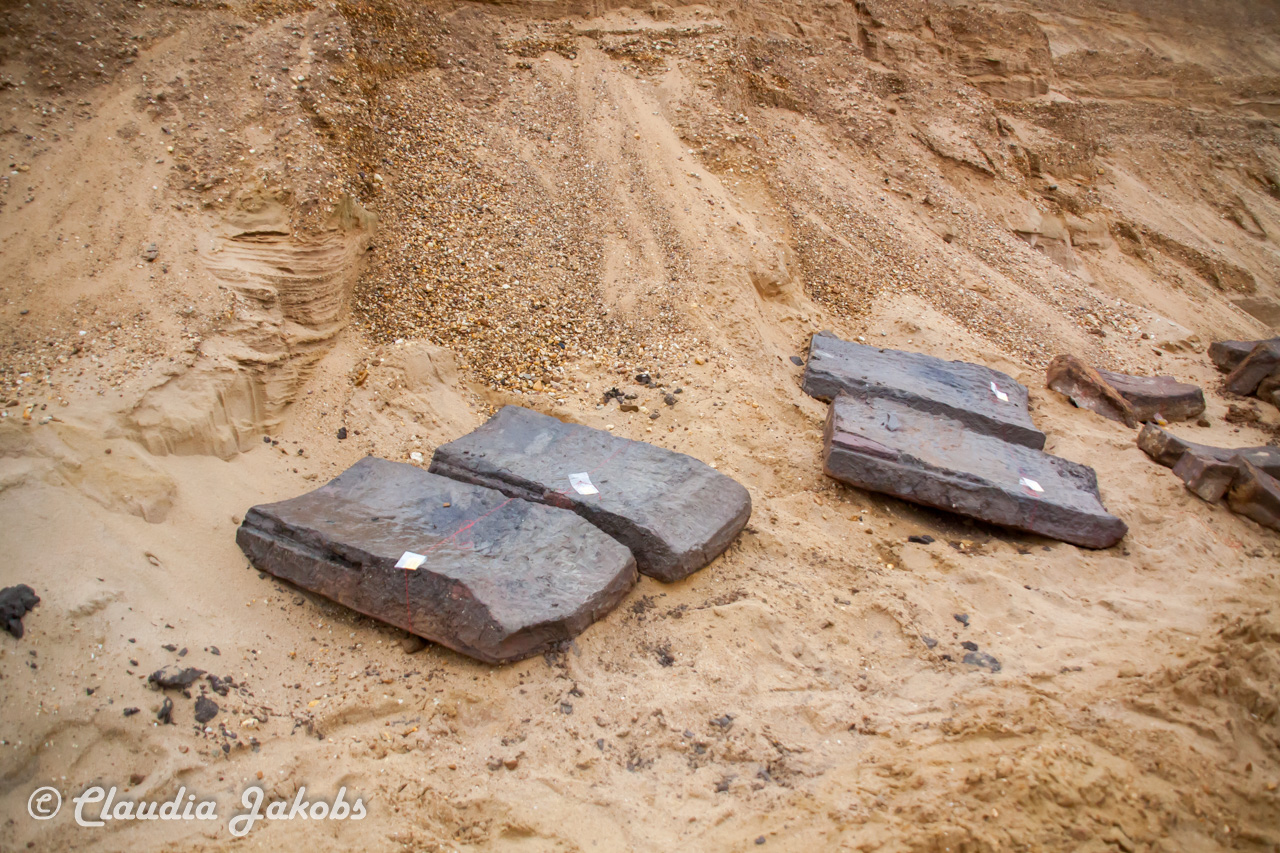 20200708171328 IMG 6601