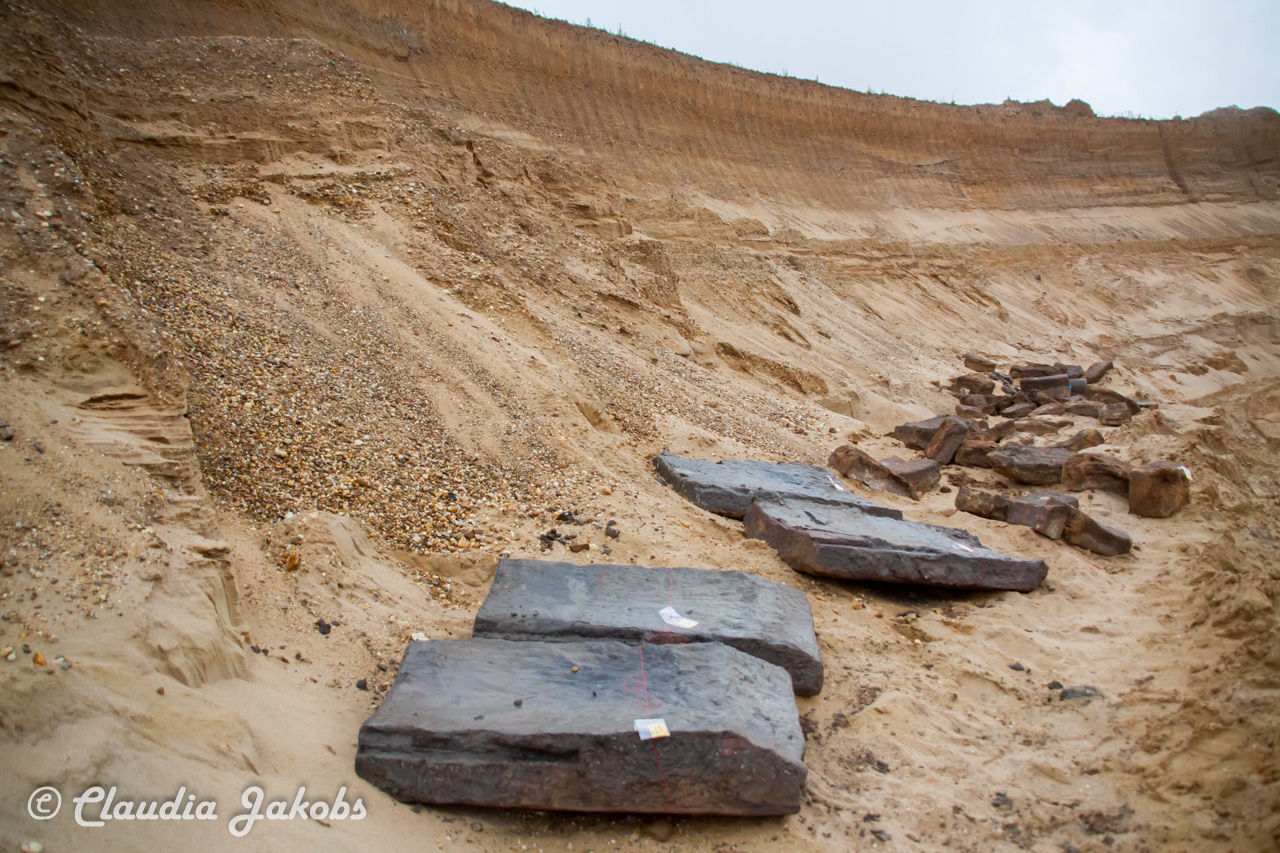 20200708171347 IMG 6603