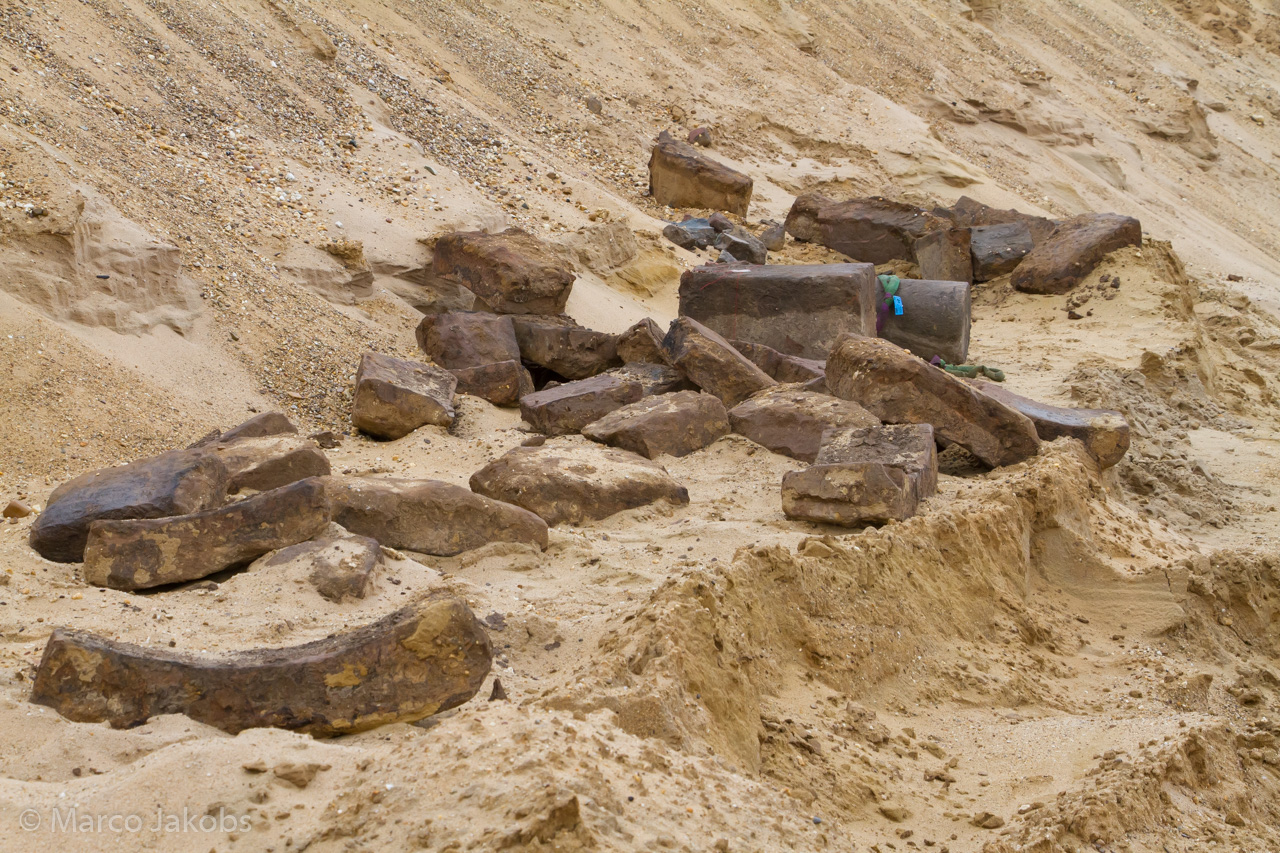 20200708171349 MJ  8214