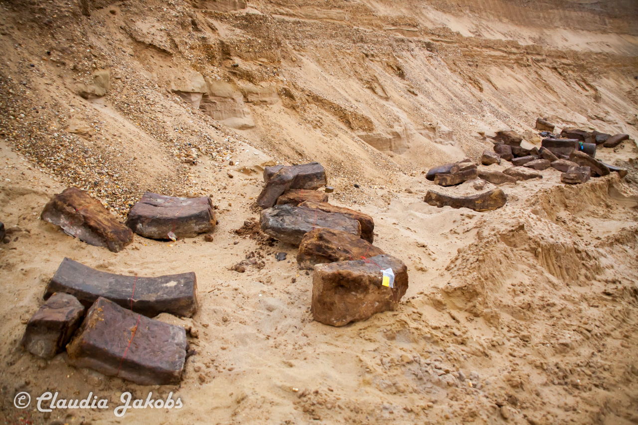 20200708171404 IMG 6605