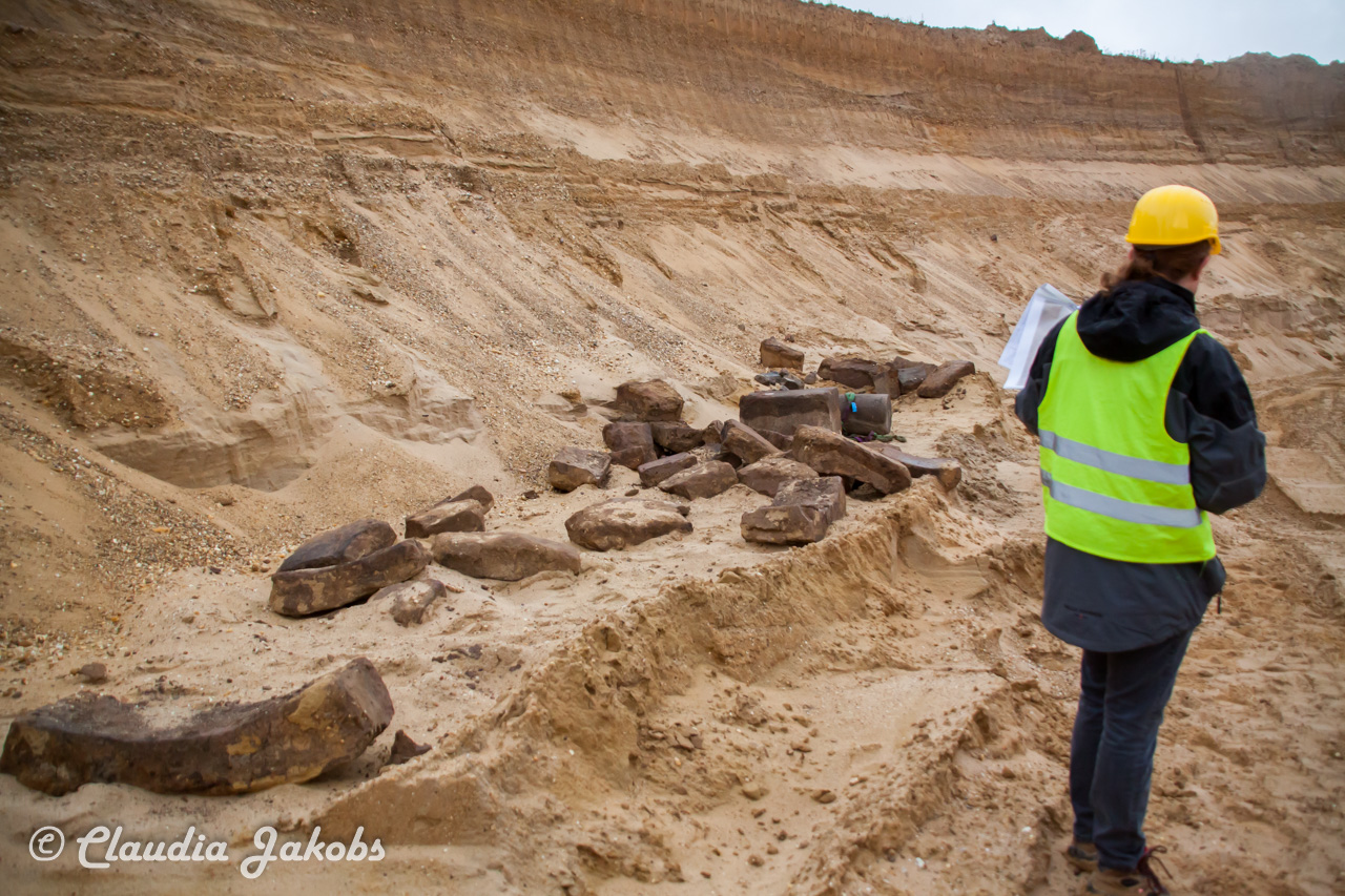 20200708171421 IMG 6606