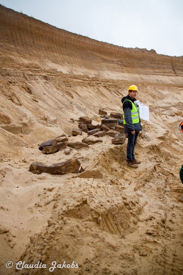 20200708171521 IMG 6609