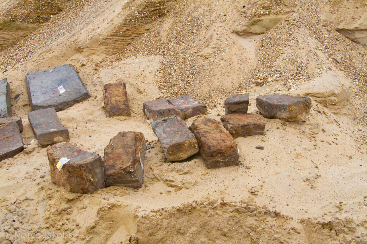 20200708171635 MJ  8219