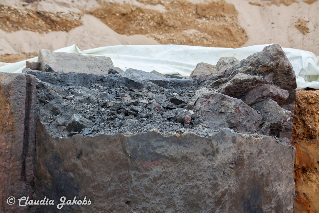 20200708172421 IMG 6619