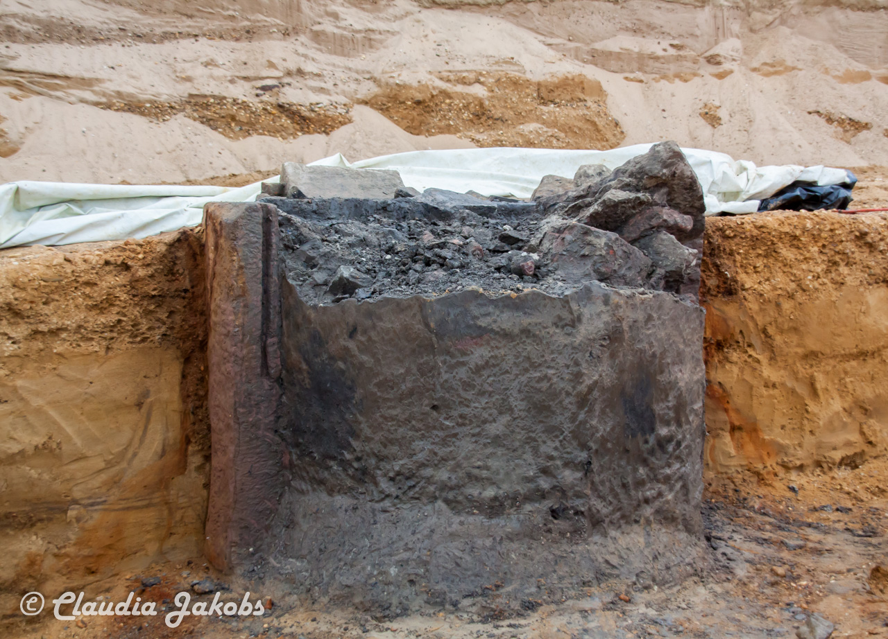 20200708172426 IMG 6620