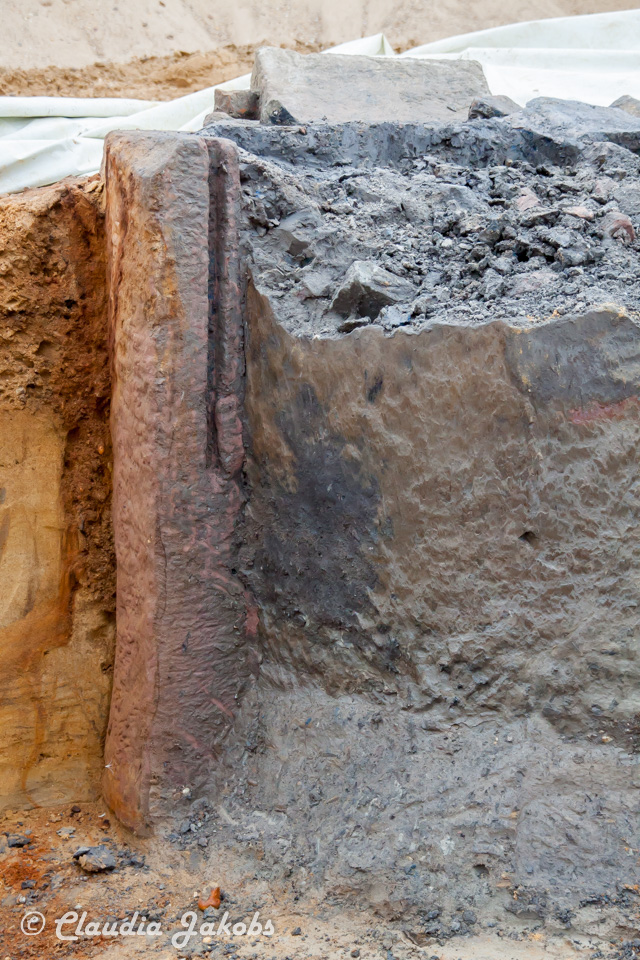 20200708172900 IMG 6622