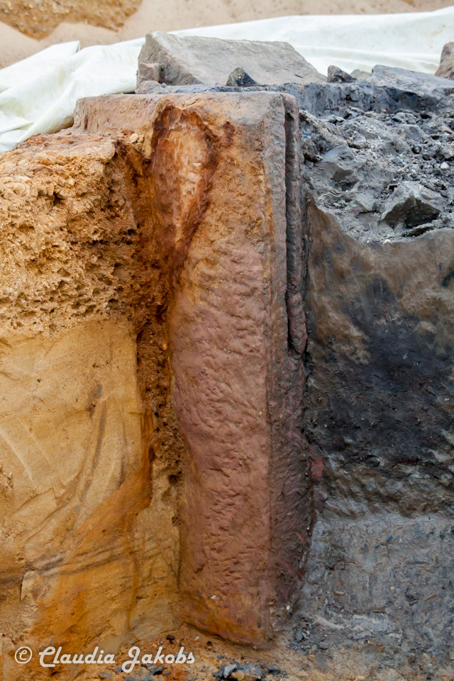 20200708174426 IMG 6627