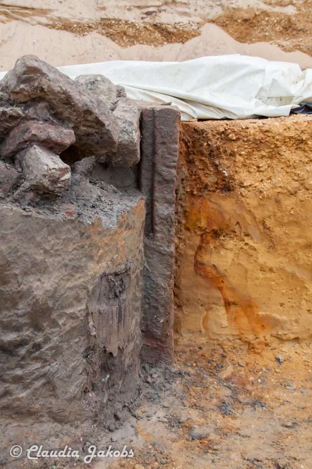 20200708174705 IMG 6630