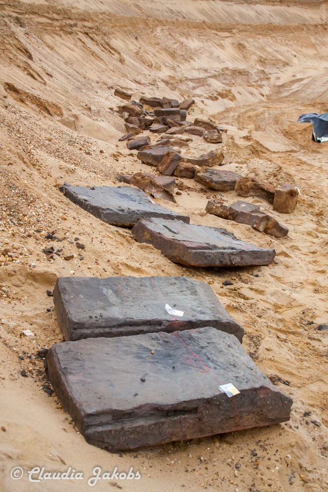 20200708175411 IMG 6637