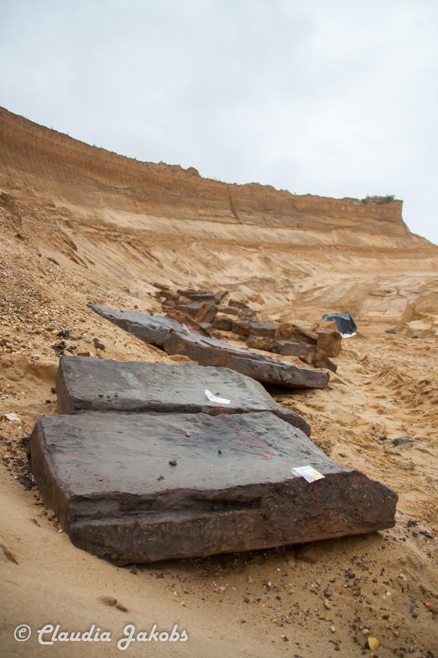 20200708175427 IMG 6639