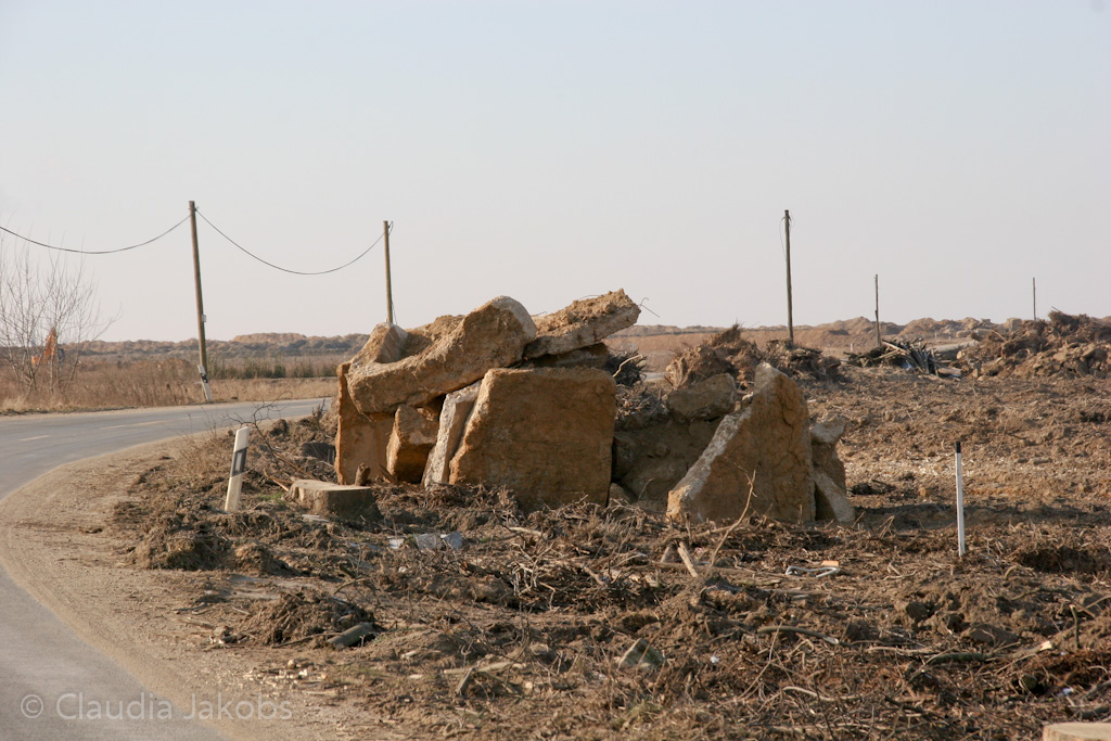 120205124525 IMG 1585