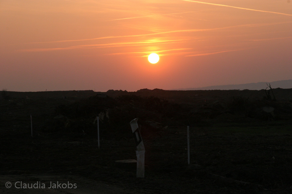 120316182655 IMG 1725