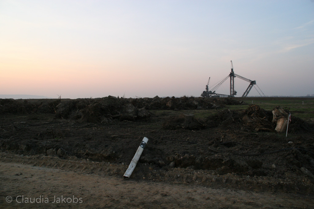 120316182822 IMG 1730